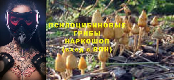 спиды Усмань